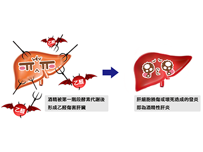 喝酒傷肝 喝酒傷胃 李宜霖胃腸肝膽科