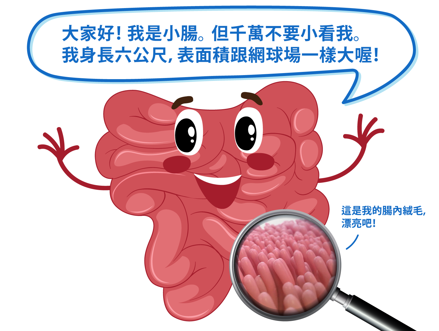 腸道是免疫器官、免疫細胞、淋巴組織| 李宜霖胃腸肝膽科