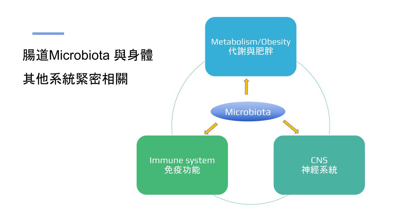 腸道Microbiota 與身體其他系統緊密相關