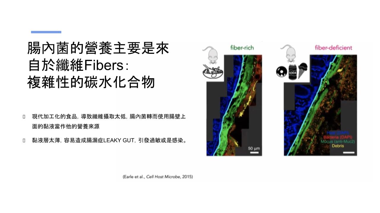 腸內菌的營養主要是來自於纖維Fibers： 複雜性的碳水化合物